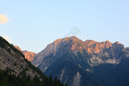 朱利安阿尔卑斯木头松林风景绿色场景农村天空国家草地植物图片