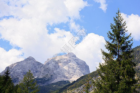 朱利安阿尔卑斯天空乡村木头松林草地假期国家绿色风景农村图片