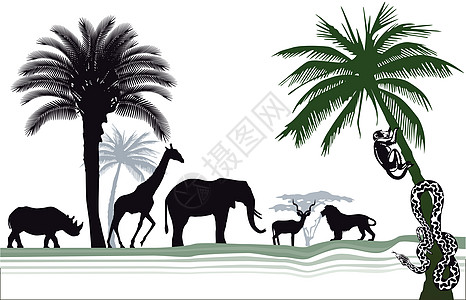非洲野生动物协会动物园捕食者游客方式插图狮子大草原动物荒野热带图片