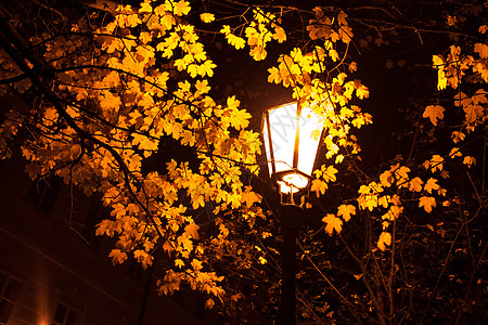 布拉格街上美丽的夜景风景建筑学灯笼砖块地面旅行石头房子胡同人行道街道图片