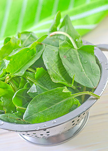 酸痛团体植物码头草本植物野菜花园香料沙拉橙子叶子图片