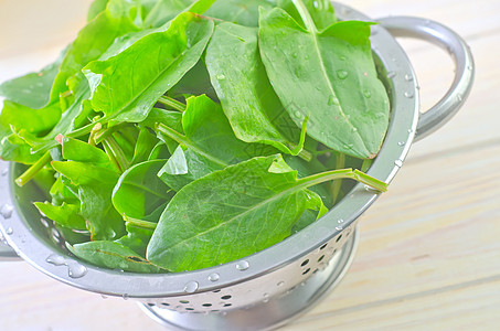 酸痛草本植物收获香料野菜橙子叶子蔬菜植物码头花园图片