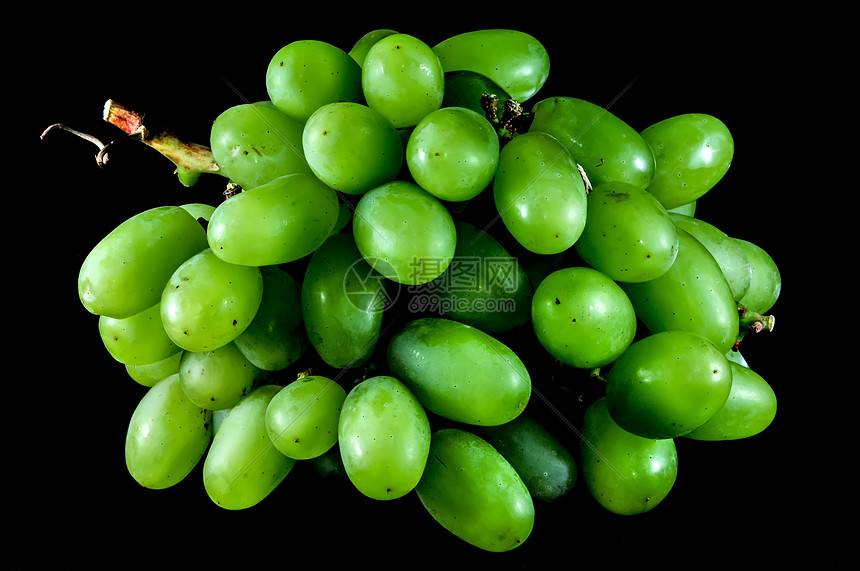黑底的绿葡萄团团圆图片