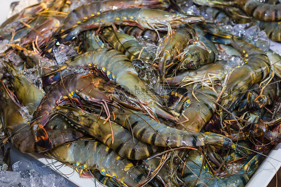 泰国市场上的虾虾和其他海产食品市场美食杂货店灰色尾巴食物触手农民动物红色甲壳图片