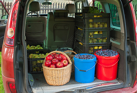 收获补给品市场花园店铺食物农场李子篮子货物运输图片