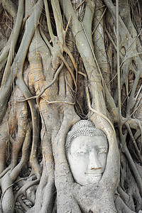 佛头精神古董宗教杂草世界遗产地标假期旅行砂岩雕塑图片