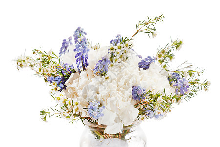 春花展示花瓣生活母亲宏观季节生长婚礼礼物牡丹图片