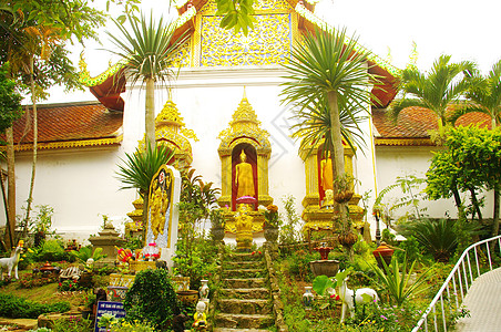 在渡道苏瑟普寺庙的花园里植物寺庙图片