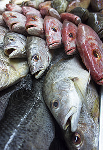 鱼类的杂类市场鳕鱼食物渔夫海鲜零售摊位尾巴收藏钓鱼图片