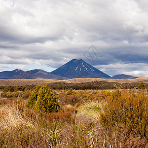 汤加河NP NZ的活跃火山图片
