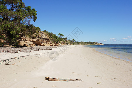澳大利亚海滩海岸假期沙滩海湾海洋旅行海岸线图片