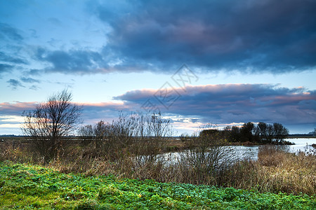 日出在沼泽上蓝色农村云景黄色天气衬套绿色风景天空戏剧性图片