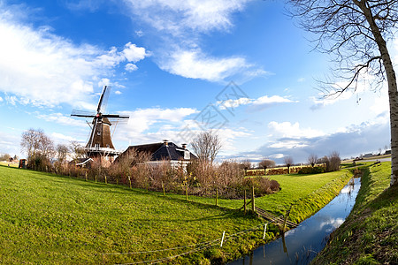 草地上迷人的荷兰风车高清图片