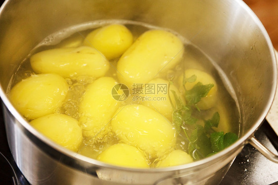 土豆煮在酱锅里平底锅滚刀淀粉香菜维生素蔬菜草本植物食物营养马铃薯图片