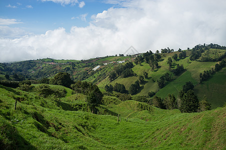 绿色哥斯达黎加图片