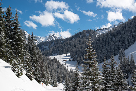 Montafon滑雪山谷运动旅行旅游游客活动全景景观松树地质学蓝色图片