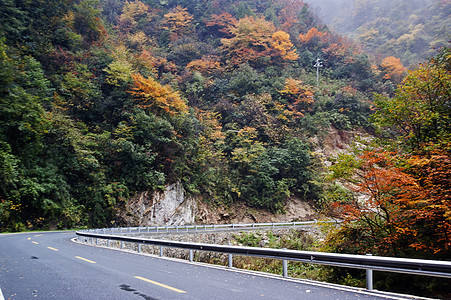 中国湖北盛农家山的美丽秋天风景树叶天气花园橙子红色黄色绿色树木叶子旅行图片
