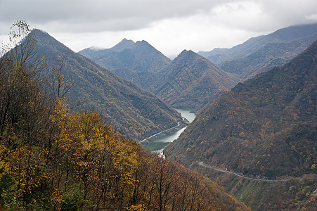 中国湖北盛农家山的美丽秋天风景橙子森林旅行植被树叶植物树木绿色红色花园图片