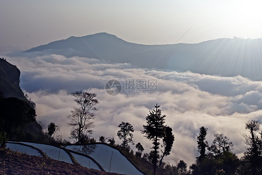 中国元阳帝的美丽风景农业旅游金光树木林业山脉图片