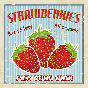 草莓古代海报水果划痕艺术甜点瑕疵金属菜单食物广告浆果图片