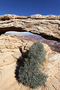 Mesa Arch 的垂直视图图片