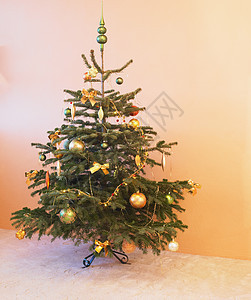 圣诞树庆典点缀装饰品宴席插图庆祝纹饰传统装饰节日背景图片