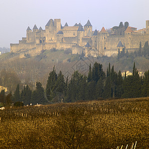 城堡葡萄园法国卡卡松栽培据点历史性外观建筑堡垒世界城堡历史城市背景