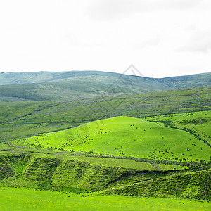 绿色优美风景北爱尔兰蒂罗内县Sperrin山世界山脉风景绿色海角旅行位置外观背景