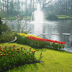 Keukenhof花园 荷兰里塞公园园艺水仙喷泉季节植物群利瑟花朵外观喷射机图片