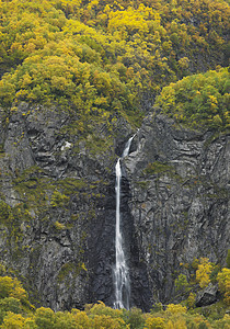 挪威附近的地貌景观风景季节植物河流木头植被植物群树木世界溪流背景图片