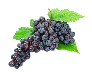 带叶子的新黑葡萄营养黑色饮食甜点水果酒厂藤蔓维生素绿色果汁图片