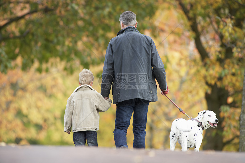 带着年青儿子走狗的男子通过秋季公园小路男人水平宠物男性孩子中年图片