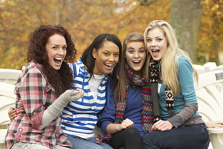 秋天公园四组坐在法官席的四位少女群体叶子青少年微笑公园女性衣服树叶友谊女士混血图片