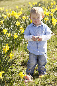 球场复活节鸡蛋猎猎的年轻男孩男性季节男生微笑花园季节性隐藏装饰享受水仙花背景图片