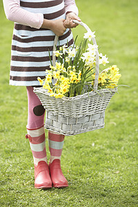 花园中食水仙子女孩持有篮子的详情水仙花雨靴场地花朵季节微笑靴子享受季节性混血图片