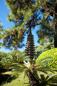绿树背景的石头塔石塔公园植物宏观石头叶子天空文化小路花园植物群图片