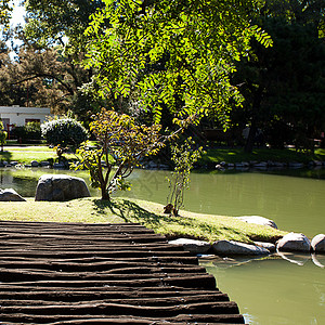 与公园的木桥和池塘海水樱花房子墨田园艺建筑物风景松树恩赐花园图片