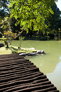 与公园的木桥和池塘墨田旅游房子园艺风景庭园森林城市摩天大楼松树图片