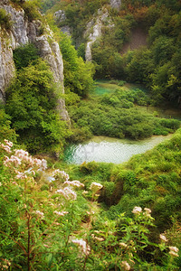 天堂瀑布生育力森林荒野溪流美丽植被树叶活力公园图片