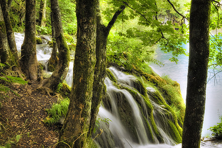 瀑布荒野活力森林树叶公园美丽天堂溪流植被生态图片