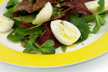 绿沙拉盘子蔬菜小吃叶子食物沙拉草本植物健康饮食黄色吃饭图片