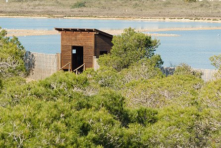 观鸟藏身处监视邮政湿地小屋窝棚自然公园观察点荒野生态旅游建筑学图片