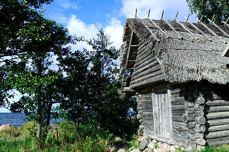 房顶是用制成的房子竹子材料棕榈农场稻草建筑学异国茅草家乡图片
