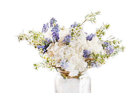 春花礼物荒野婚礼生活牡丹展示母亲宏观园艺蓝色图片