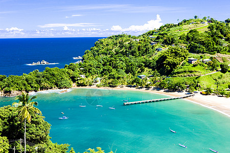 多巴哥帕拉托维耶湾海滩位置植被树木码头世界假期热带图片