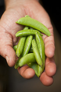 男士西服与皮派手牵手男性蔬菜人类农业市场开幕式健康饮食收获男士食物背景