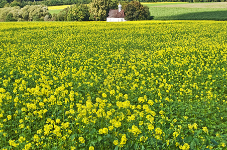与教士混合肥料礼拜堂绿肥黄色农作物牧歌教会国家绿色风景图片