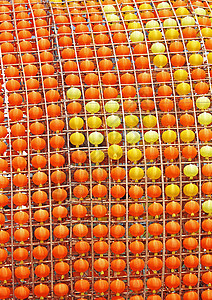 绿灯橙子灯笼佛教徒新年墙纸寺庙工艺写作红色文化背景图片