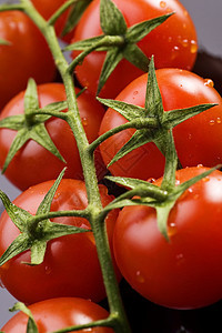 新鲜西红柿市场生物水果饮食沙拉生产聚宝盆水滴食物营养图片