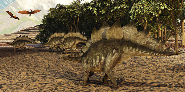 词典脊椎动物爬虫动物时代怪物古生物学泰坦蜥蜴世界灭绝图片